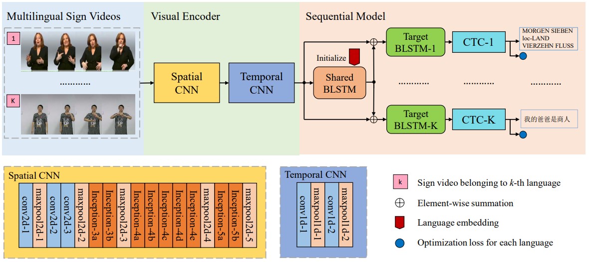 Collaborative Multilingual Continuous Sign Language Recognition A